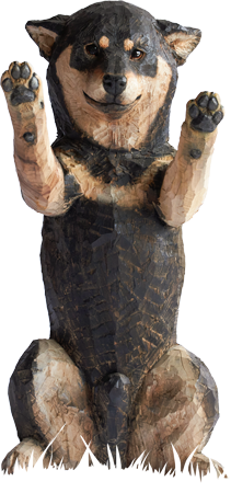 はしもとみおへのご意見・ご感想・メッセージ