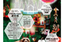 動物たちと過ごすクリスマス