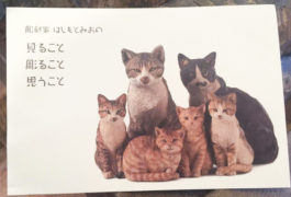 彫刻家はしもとみおの 見ること 彫ること 思うこと