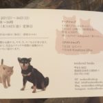 彫刻家はしもとみおの  見ること 彫ること 思うこと