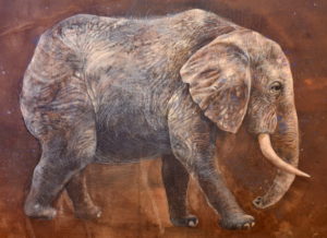Elephantidae