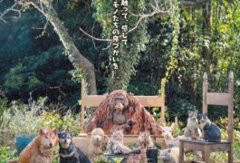 はしもとみお木彫りの世界展 どうぶつたちの棲む森