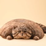 開館30周年記念 どうぶつ家族たちの物語