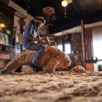 はしもとみお彫刻展  海からはじまるいきものたち