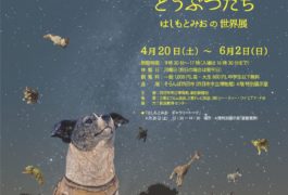 星をみつめるどうぶつたち はしもとみおの世界展