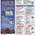 星をみつめるどうぶつたち  はしもとみおの世界展