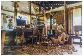 いきものたちのあつまるアトリエ展