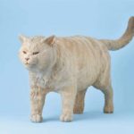 はしもとみお 猫を彫る