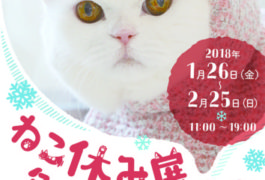 ねこ休み展 冬 2018