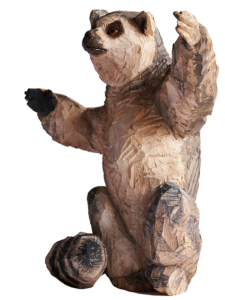 ワオキツネザル