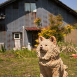 わさおくん肖像彫刻