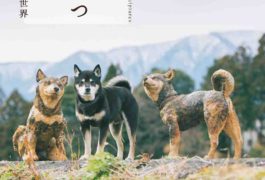 木彫りどうぶつ美術館 はしもとみおの世界展