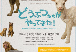 どうぶつたちがやってきた!