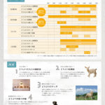 どうぶつたちがやってきた！