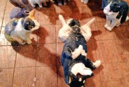 ミニ展示&ワークショップ