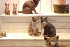 いきもの達のかくれんぼ