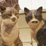 いきもの達のかくれんぼ