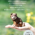 あなたの愛犬彫刻にしますキャンペーン