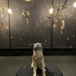 はしもとみお木彫展  カタチの生まれるところ