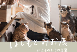 はしもとみお展 いきものたちの言葉