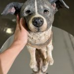 はしもとみお木彫展  ～カタチの生まれるところ～