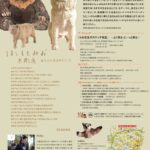 はしもとみお木彫展  カタチの生まれるところ