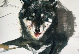 みお先生のスケッチ教室  よく見る・じーっと見る