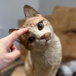 はしもとみお 木彫展 – 時をかけるケモノたち –