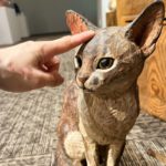 はしもとみお 木彫展 – 時をかけるケモノたち –