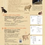 はしもとみお木彫展 いきものたちの音