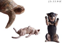 cycle of life(命の循環) はしもとみおの動物賛歌