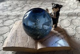 「ものがたり」 巣巣展覧会