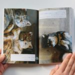 気になってるん！02