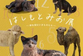 はしもとみお展 -時を刻むいきものたち-