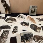 はしもとみお展  －時を刻むいきものたち－