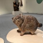 はしもとみお展  －時を刻むいきものたち－